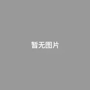 魔术师与消失的女孩 Het geheim